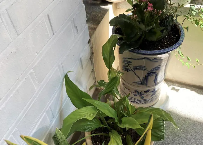 Apartamento Women Only-subway 2min Sinchon Hongdae Private